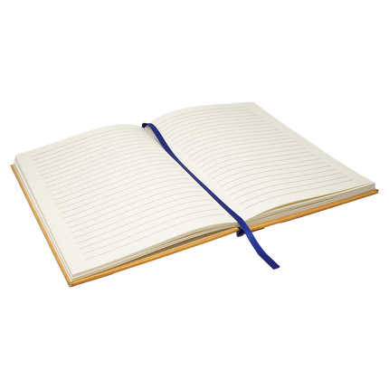 Young Stolas Notebook + Pen Set *LIMITED STOCK*